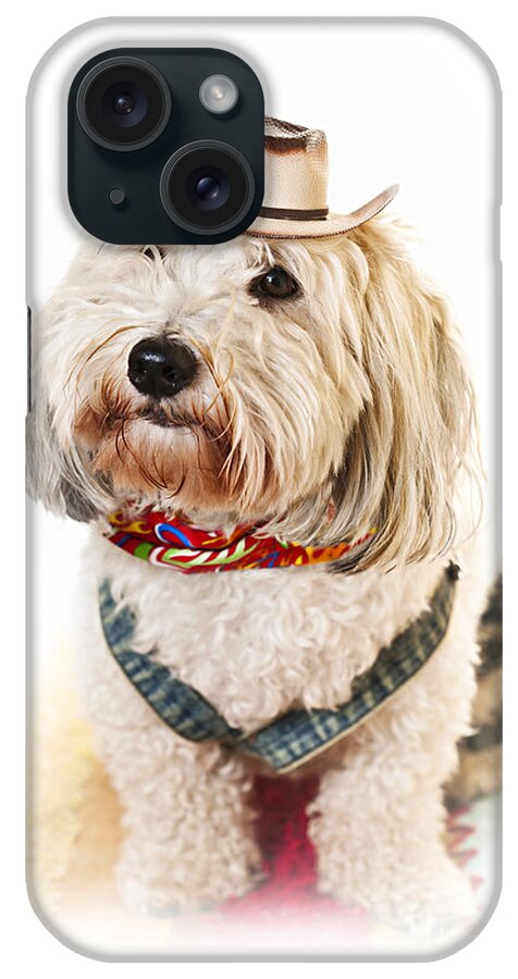 Dog iPhone Case featuring the photograph Cute dog in Halloween cowboy costume by Elena Elisseeva