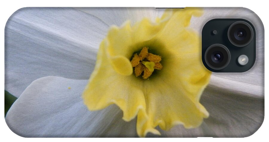 White iPhone Case featuring the photograph Daffodil Emotions by Kimmary MacLean