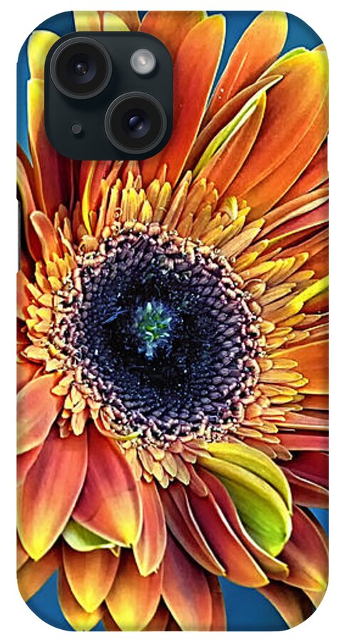 Gerber Daisy iPhone Case featuring the photograph Daisy Dialation by Bill and Linda Tiepelman