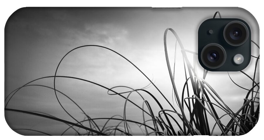 Grass iPhone Case featuring the photograph Dancing Queen by Dorit Fuhg