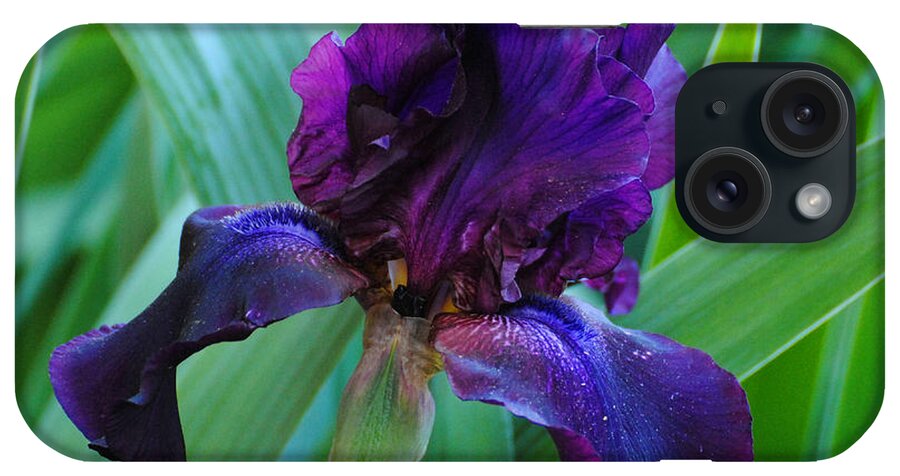 Beautiful iPhone Case featuring the photograph Dark Purple Iris by Jai Johnson
