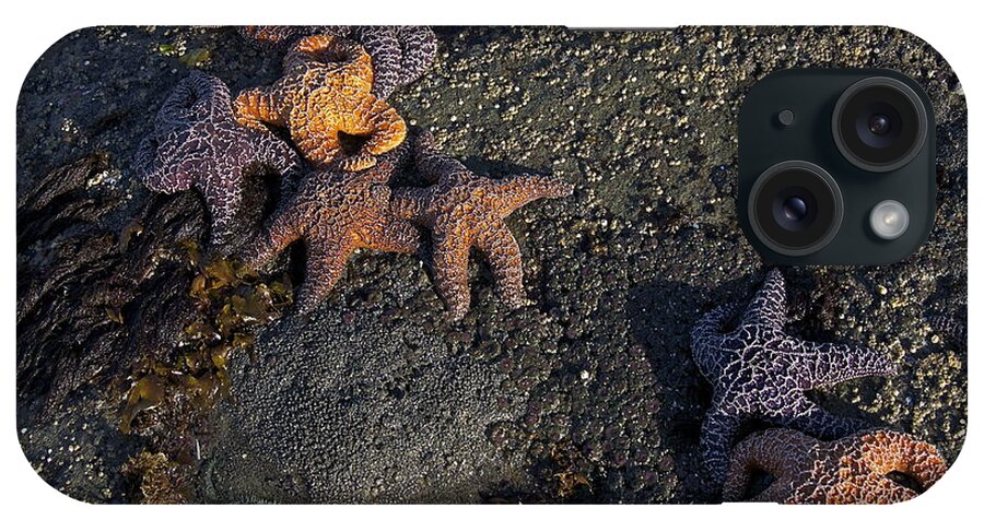 Photography iPhone Case featuring the photograph Dawn Comes to the Intertidal Zone by Sean Griffin