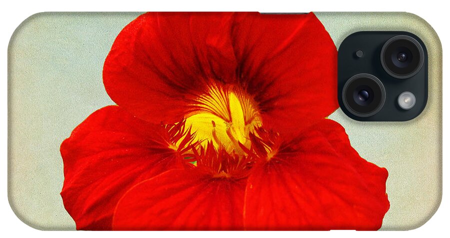 Red iPhone Case featuring the photograph DayLily On Texture by Bill Barber