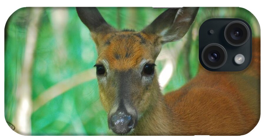 Animal iPhone Case featuring the photograph Deer 7521 by Michael Peychich