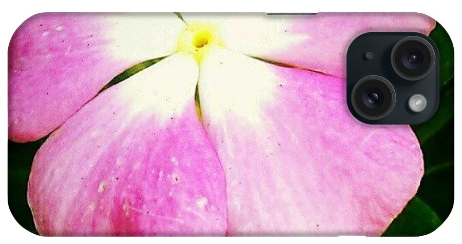 Purple iPhone Case featuring the photograph Delicate #purple #petals Make Me by Tiffany Townsend