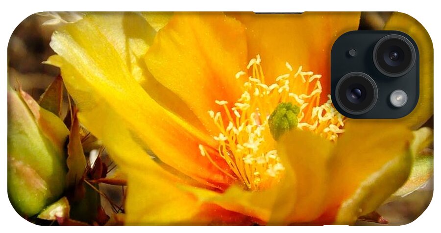  iPhone Case featuring the photograph Desert Bloom by Mark Valentine