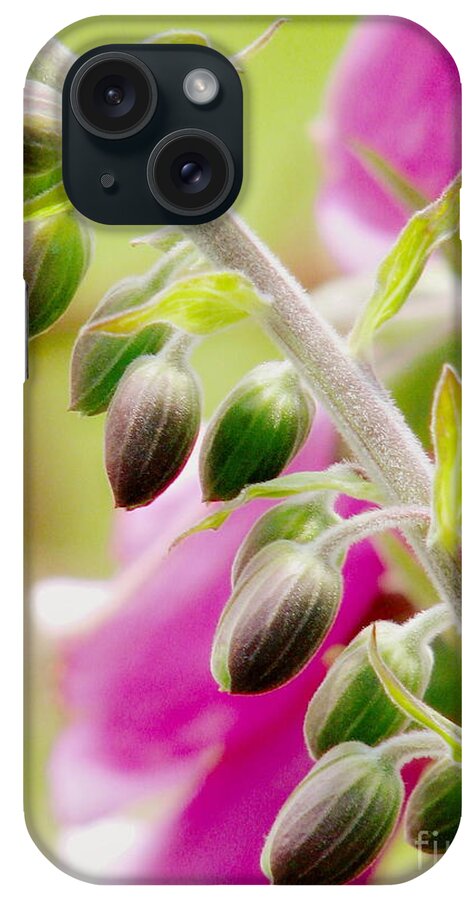 Foxglove iPhone Case featuring the photograph Discussing When To Bloom by Rory Siegel