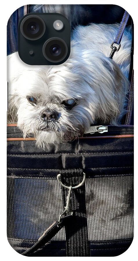 Dog iPhone Case featuring the photograph Doggie To Go by Burney Lieberman
