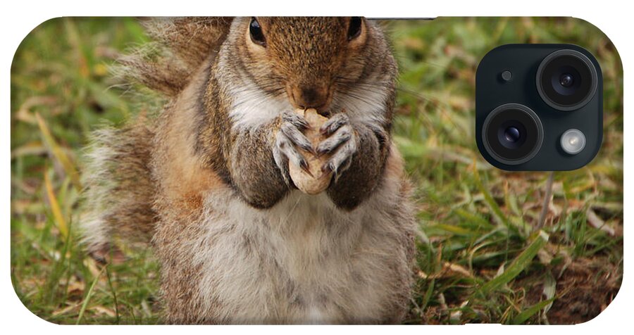 Squirrel iPhone Case featuring the photograph Dont Even Think About It Its Mine by Grace Grogan