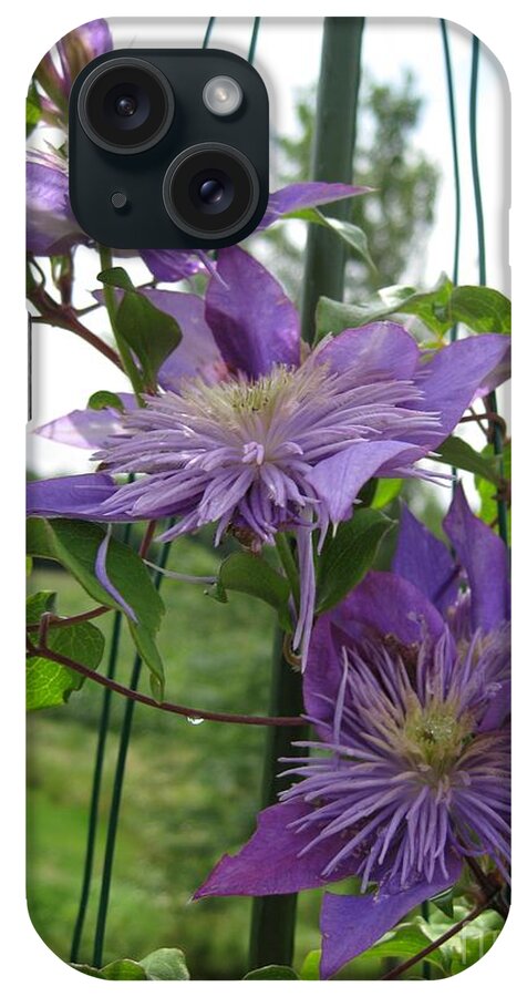 Double Clematis iPhone Case featuring the photograph Double Clematis named Crystal Fountain by J McCombie