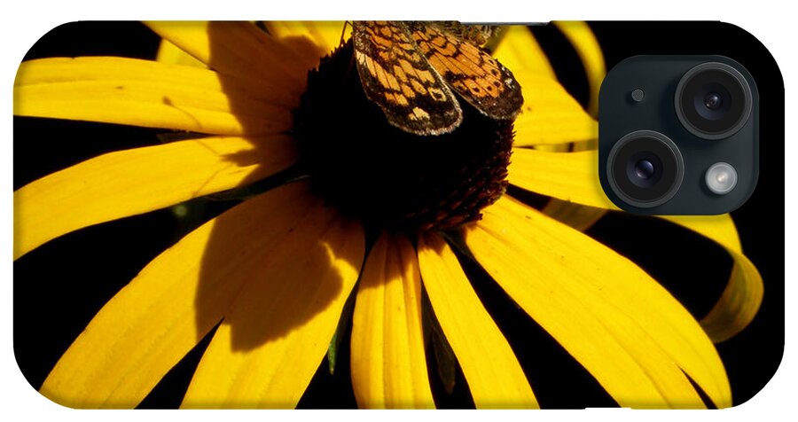 Butterfly iPhone Case featuring the photograph Double yellow Delight with a surprise by Kim Galluzzo
