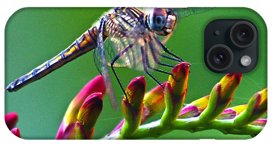 Animals iPhone Case featuring the photograph Dragonfly by Jean Noren