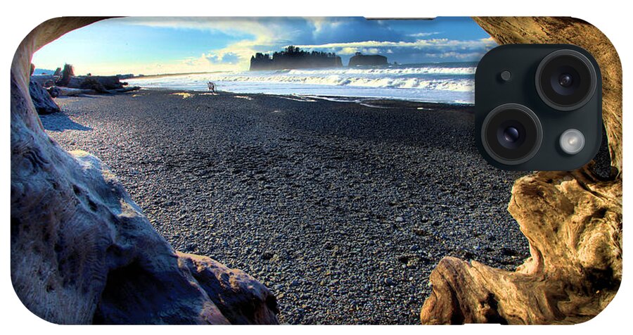 Rialto Beach iPhone Case featuring the photograph Drift Wood Island by Adam Jewell
