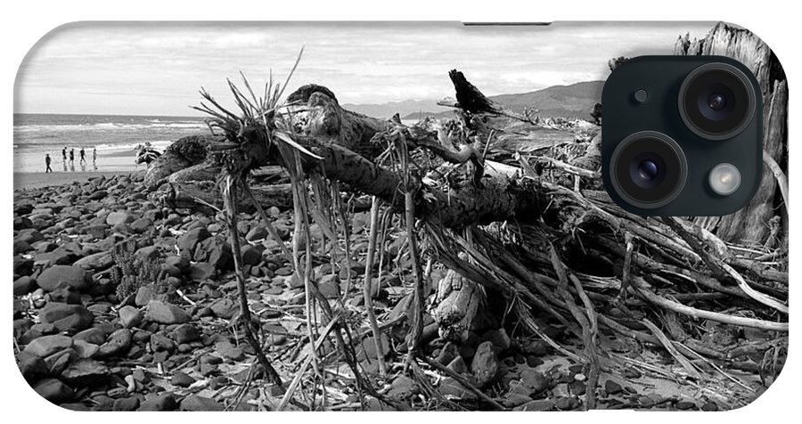 Driftwood iPhone Case featuring the photograph Driftwood and Rocks by Chriss Pagani