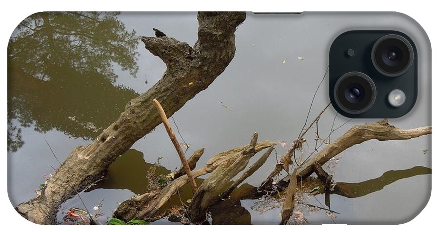 Driftwood iPhone Case featuring the photograph Driftwood by Renee Trenholm