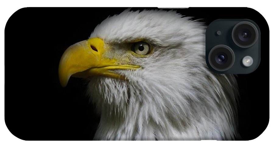 Bald Eagle iPhone Case featuring the photograph Eagle Head by Steve McKinzie