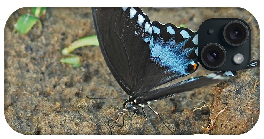 Adult iPhone Case featuring the photograph Eastern Tiger Swallowtail 8537 3215 by Michael Peychich