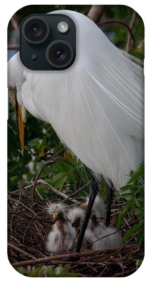 Egret iPhone Case featuring the photograph Egret with Chicks by Art Whitton