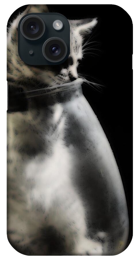 Kitten iPhone Case featuring the photograph El Kitty by Jessica S