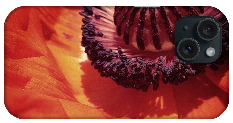 Spring iPhone Case featuring the photograph Enamored by Angela Josephine