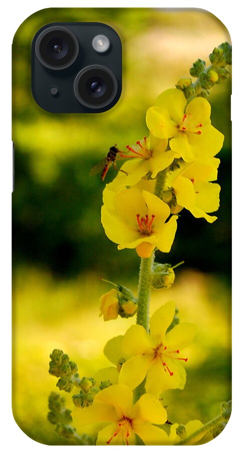 Pyrenees Flora iPhone Case featuring the photograph Equilibrium by HweeYen Ong