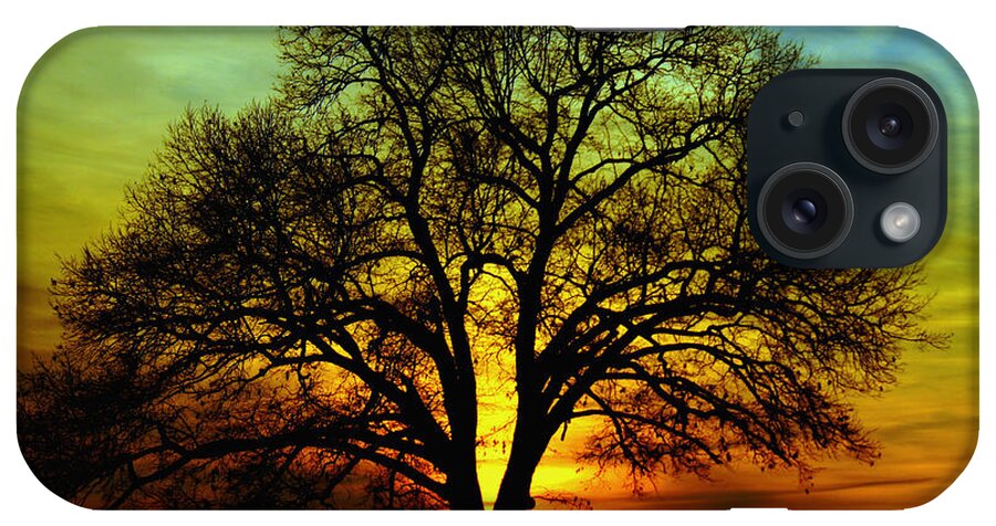 Tree iPhone Case featuring the photograph Evening Palette by Benanne Stiens
