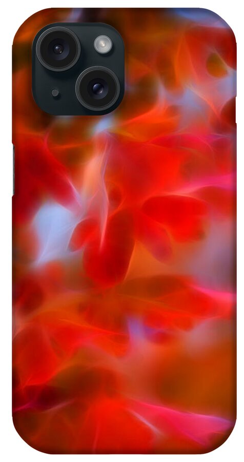Autumn iPhone Case featuring the photograph Fall Color II by Ricky Barnard