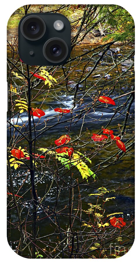 Autumn iPhone Case featuring the photograph Fall forest and river by Elena Elisseeva