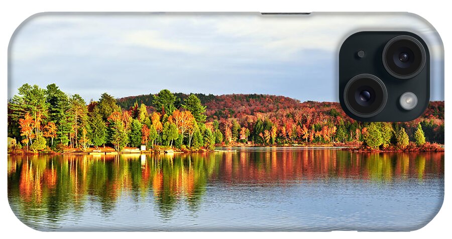 Lake iPhone Case featuring the photograph Fall forest reflecting in lake by Elena Elisseeva