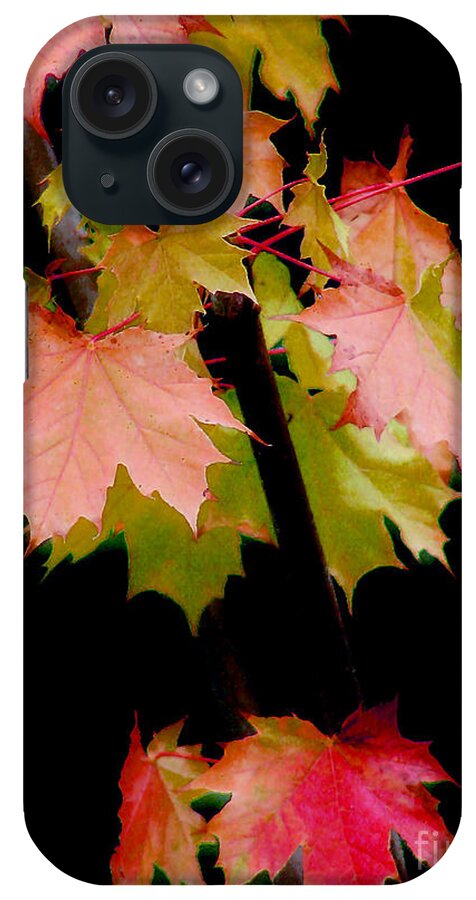 Leaf iPhone Case featuring the photograph Fall Grandeur by Rory Siegel