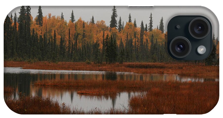 Landscape iPhone Case featuring the photograph Fall in Alaska by Benjamin Dahl
