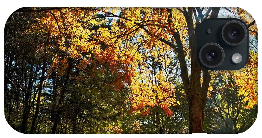 Fall Landscape iPhone Case featuring the photograph Fall Morning by Southern Photo