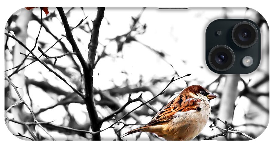 Sparrow iPhone Case featuring the photograph Fall Sparrow by Stan Kwong