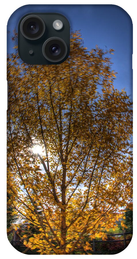 Fall iPhone Case featuring the photograph Fall Tree by Paul Beckelheimer