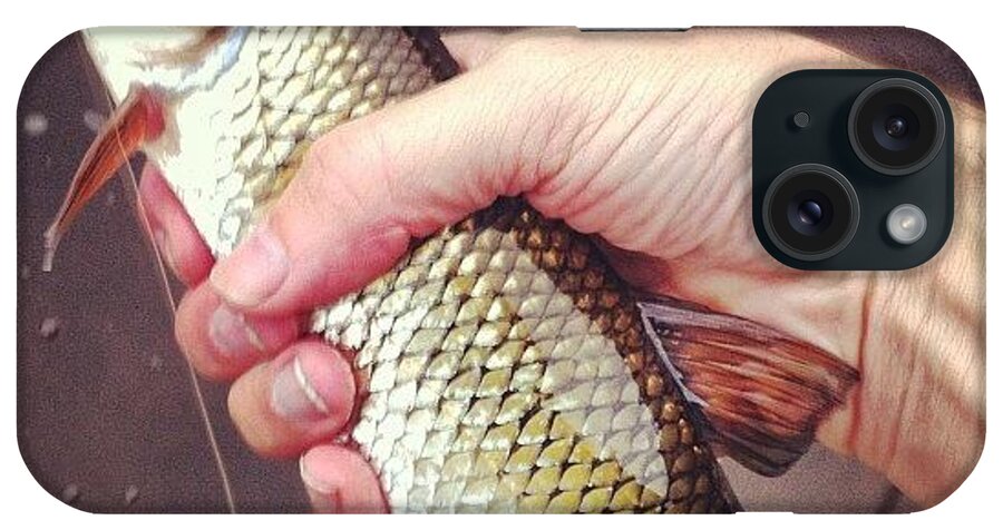 Flyfishing iPhone Case featuring the photograph Fallfish by Dave M