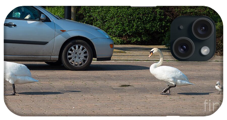 British iPhone Case featuring the photograph Family of Swans cross the road by Andrew Michael