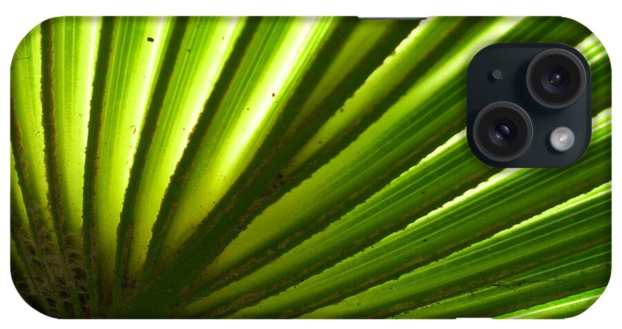 Sun iPhone Case featuring the photograph Fan Frond by Ginny Schmidt