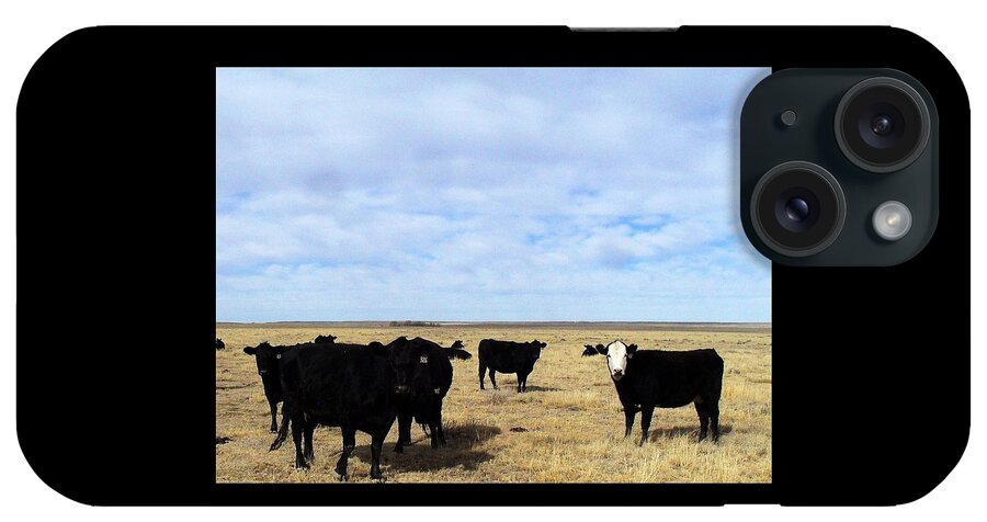 Cattle iPhone Case featuring the photograph Farm Friends by Clarice Lakota