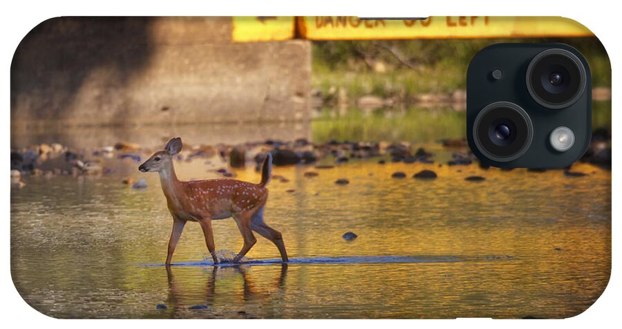 Fawn iPhone Case featuring the photograph Fawn Crossing the Buffalo National River at Ponca by Michael Dougherty