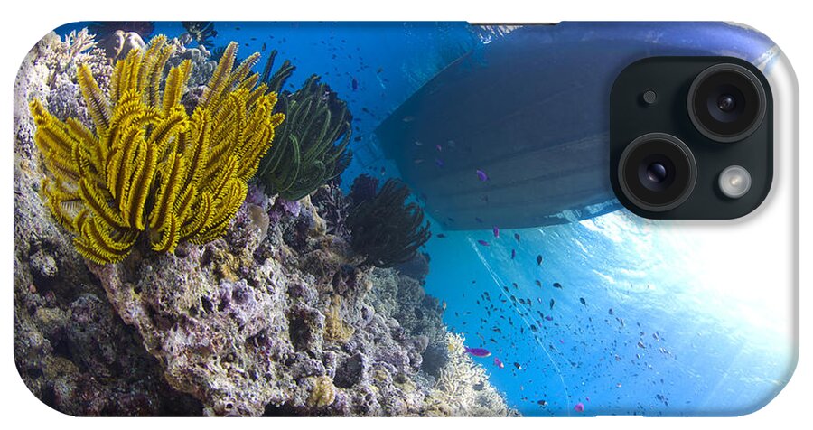 Crinoid iPhone Case featuring the photograph Feather Stars With A Boat by Steve Jones