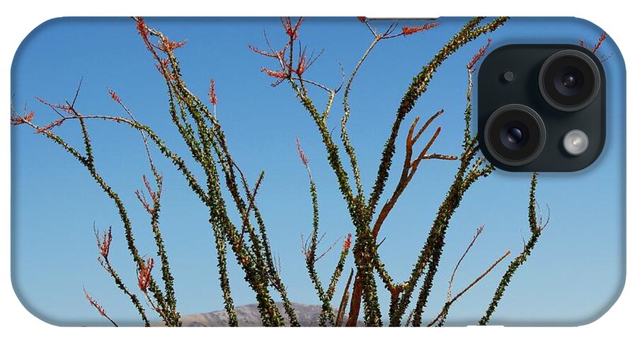 Ocotillo iPhone Case featuring the photograph Fingers to the Sky by Leigh Meredith