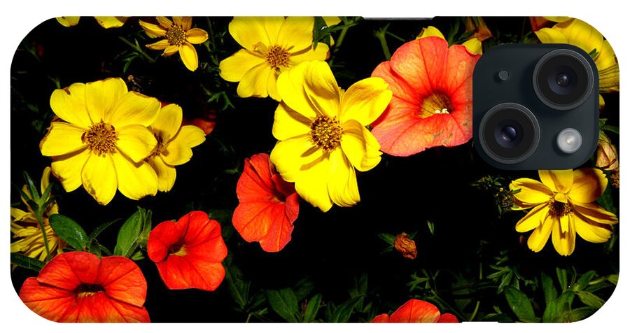 Flowers iPhone Case featuring the photograph Fire Colors by Kim Galluzzo