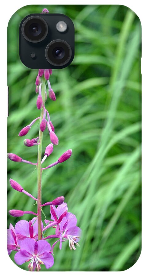 Alaska iPhone Case featuring the photograph Fireweed by Lisa Phillips