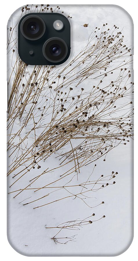 Winter iPhone Case featuring the photograph First Snow by Michael Friedman