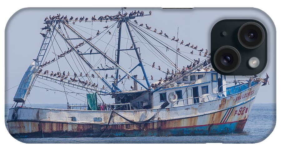Fishing Boat iPhone Case featuring the photograph Fishing Boat With Birds by Craig Lapsley