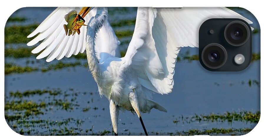 Grat White Egret iPhone Case featuring the photograph Fish'n in the morning by Bill Dodsworth