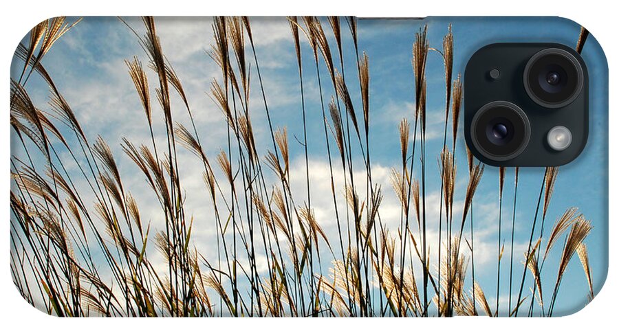 Grasses iPhone Case featuring the photograph Flare to the Sky by Mark Dodd