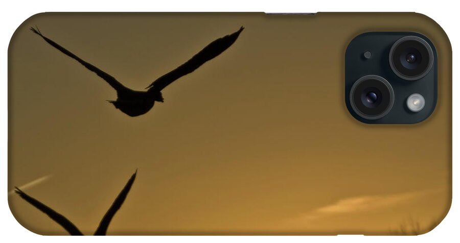 Geese iPhone Case featuring the photograph Flight At Sunset by Ed Peterson