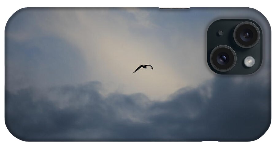 Seagull iPhone Case featuring the photograph Flight to Heaven by Penny Meyers