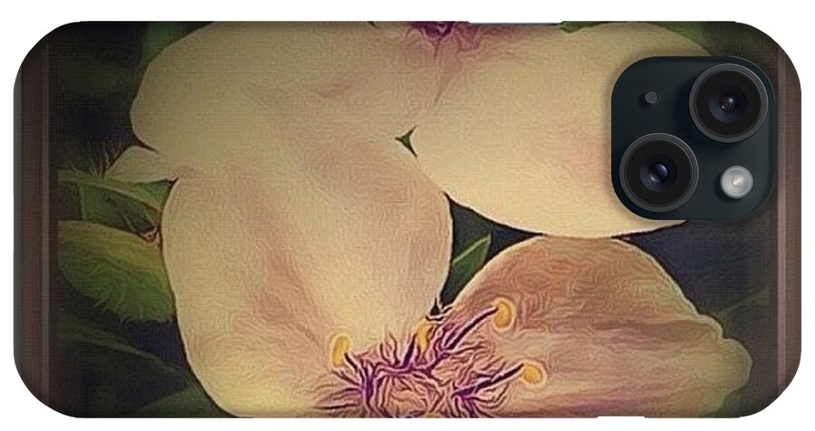  iPhone Case featuring the photograph Floral by Deb - Jim Photograhy